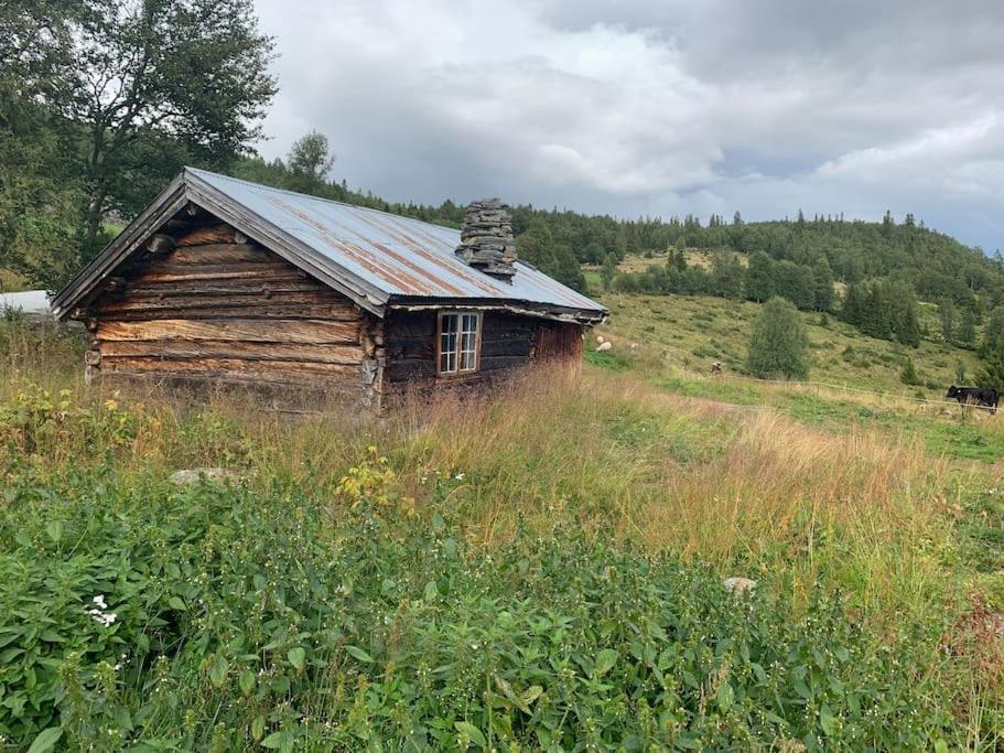 Na Er Vinteren Kommet Til Hallingdal Ол Экстерьер фото