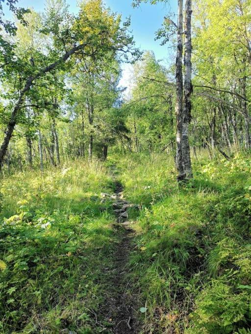 Na Er Vinteren Kommet Til Hallingdal Ол Экстерьер фото
