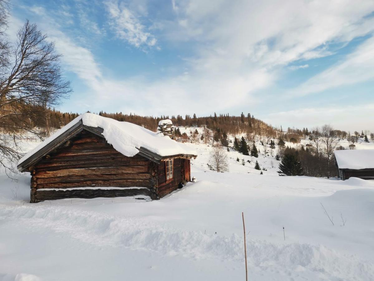 Na Er Vinteren Kommet Til Hallingdal Ол Экстерьер фото